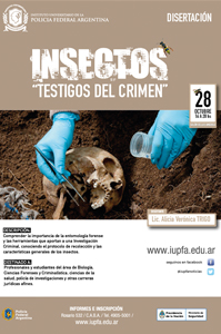 28 DE OCTUBRE . INSECTOS: TESTIGOS DEL CRIMEN