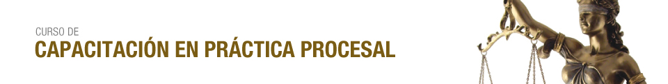 18 DE ABRIL . CURSO DE CAPACITACIÓN EN PRÁCTICA PROCESAL