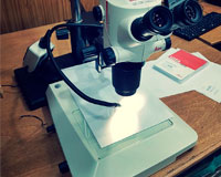 IUPFA a la vanguardia: se incorpora un microscopio de última generación